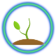 Wee Sapling