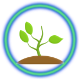 Verdant Riser