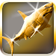 3D Arcade Fishing - Shark}