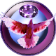 World of DASM: DASM Spell Quest - Bird Sapphire}