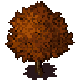 Old tree