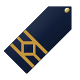 Chief Officer