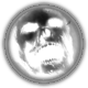 Disturbed