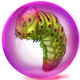 Pherojockey