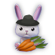 Farmer Rabbit
