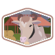 Best Moo