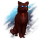 Hidden Paws Mystery - Black Cat}