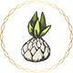 lily badge Lv2